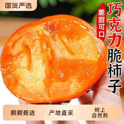 巧克力脆柿子新鲜当季水果柿子冰糖心黄甜脆硬柿子应季一整箱包邮