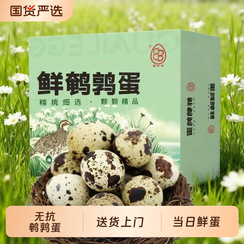 无抗鹌鹑蛋新鲜生鲜蛋健康好蛋50枚/盒源头直发安全优质抗生素