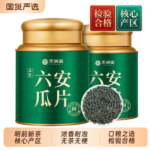 六安瓜片明前新茶采摘嫩芽口粮茶