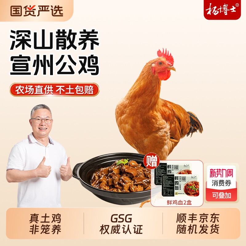 杨博士宣州公鸡深山散养土鸡农家童子鸡皖南新鲜整只红烧生蛋