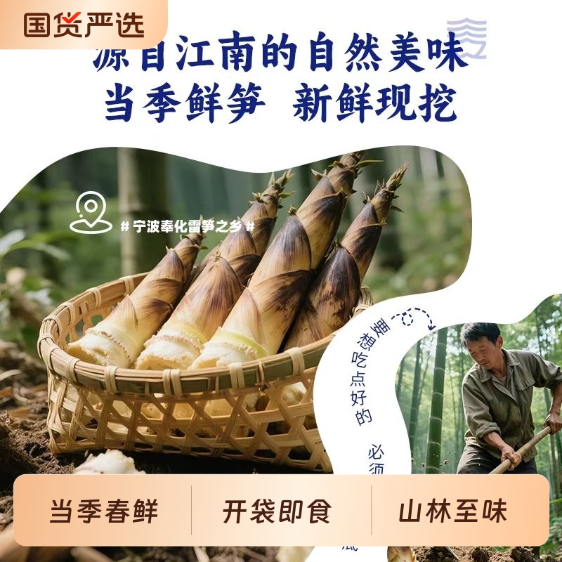 新鲜油焖笋江西抚州特产广雅农家土灶烤雷竹春笋即食袋装200克