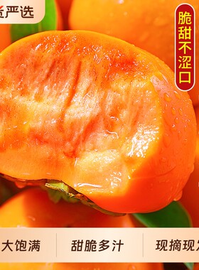 脆柿子大果整箱装新鲜当季
