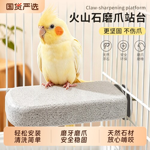 【全网热销】鹦鹉休息磨爪站台杆
