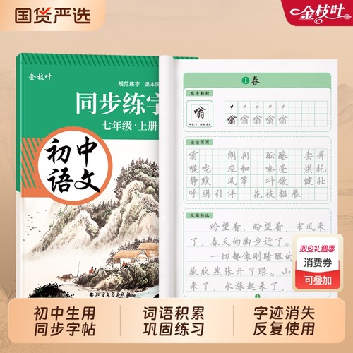 语文练字帖初中生专用人教版同步