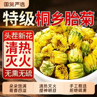 桐乡胎菊王菊花茶特级正宗白菊杭贡菊花茶500g新花草茶叶精品清热