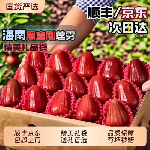莲雾官方海南三亚黑金刚精品大果脆甜新鲜包邮连雾礼盒装送礼现摘