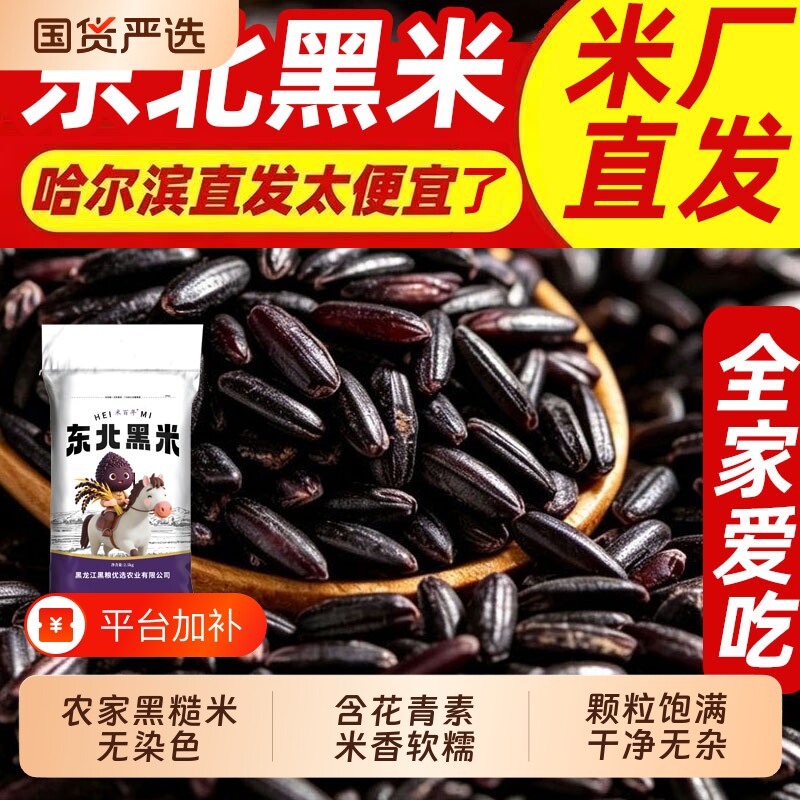 东北黑米优质新米杂粮正宗香米煮粥五谷杂粮糙米饭非紫米糯米5斤
