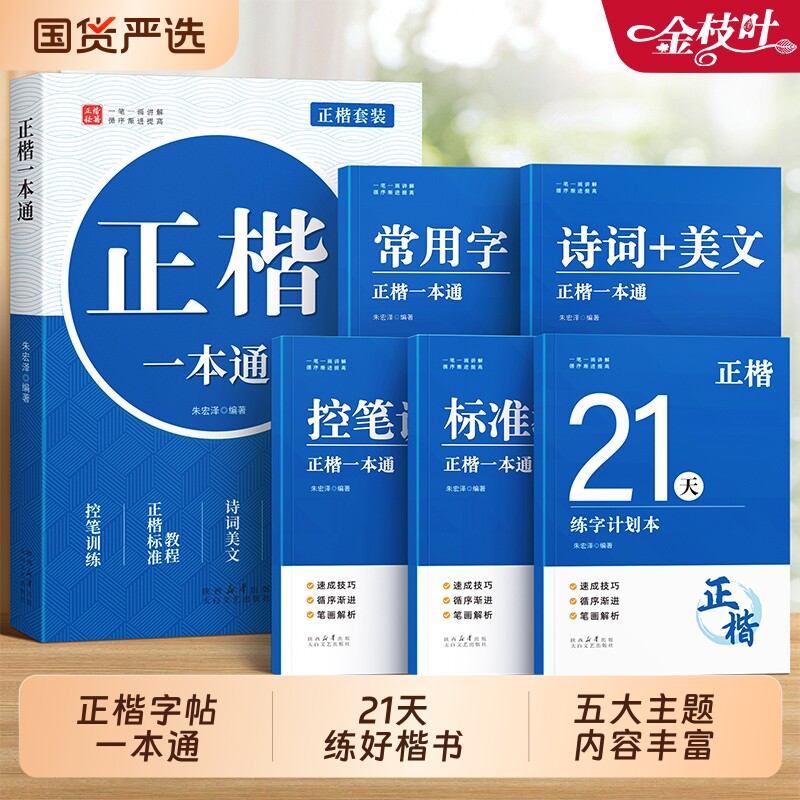 楷书字帖练字帖成人练字硬笔正楷正楷一本通学生入门教程字体钢笔专用成年速成练字本临摹练字本楷体书法基础高中生训练习写字静心