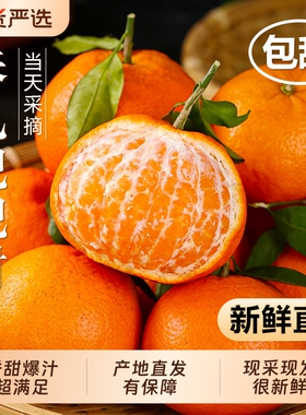 四川春见耙耙柑新鲜水果当季整箱正宗橘子丑柑橘粑粑大果包邮采摘