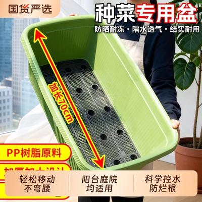 花槽长方形花盆阳台家庭蔬菜水果草莓专用箱长条花盆大容量种菜盆