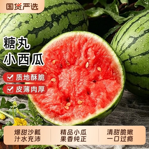 正宗2k西瓜新鲜小糖丸当季水果现摘冰糖子小西瓜迷你薄皮冰淇淋
