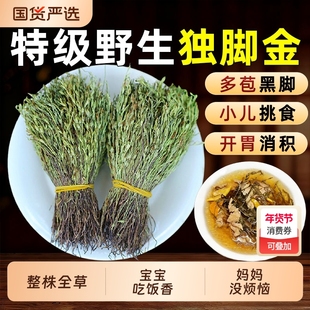 独脚金疳积草独角金中草药野生干货小孩儿童开胃消积炖汤独脚金草