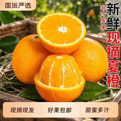 秭归中果夏橙5斤|回头客超1000人