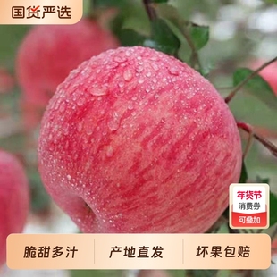 【超脆甜】冰糖心红富士苹果新鲜水果平果丑苹果脆甜苹果皮薄多汁