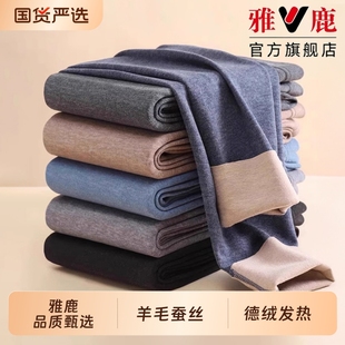 男款 德绒发热无痕纯棉秋裤 全棉薄款 棉毛裤 雅鹿保暖裤 内穿线裤 男士