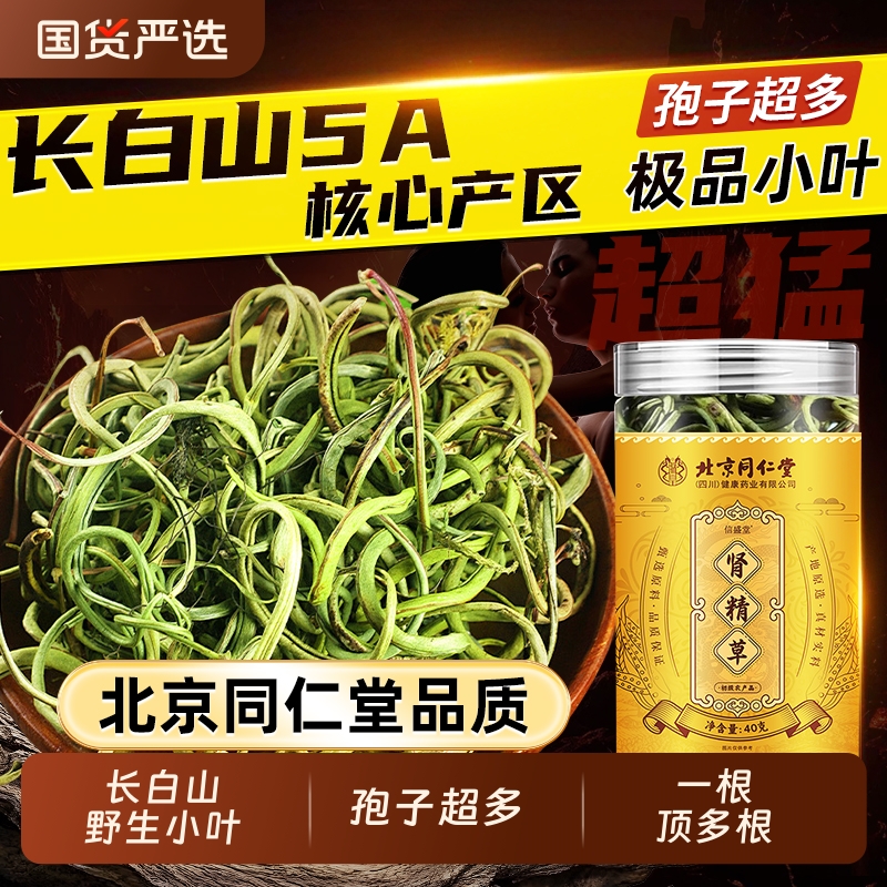 同仁堂长白山野生特级肾精草