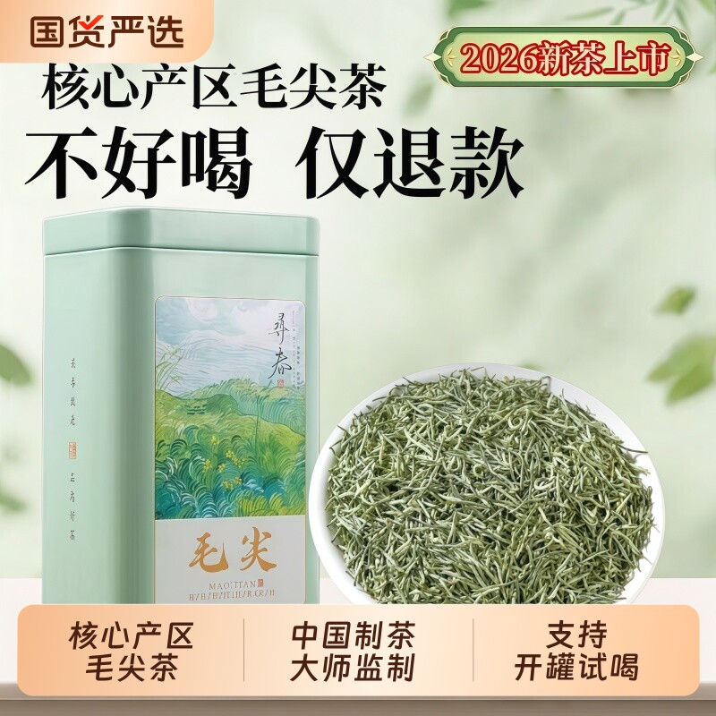 毛尖绿茶信阳原产新茶雨前高山嫩芽浓香耐泡型春茶叶明前炒青