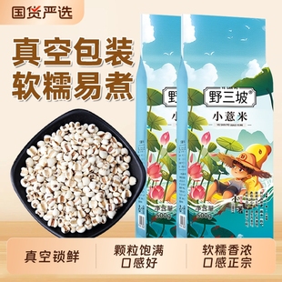贵州特产野三坡新鲜小薏米薏米仁新货苡仁五谷杂粮粗5斤熟薏米