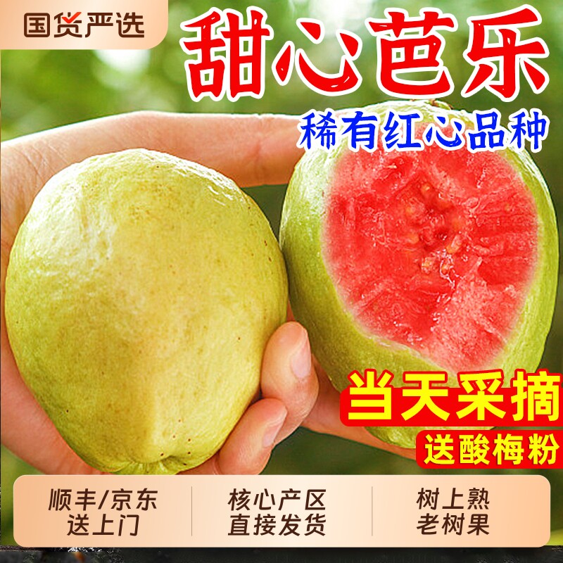 福建漳州红心芭乐番石榴新鲜水果5斤当季软糯胭脂红巴乐鸡屎果