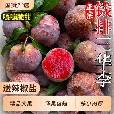 现摘当天发丨广东钱排三华李