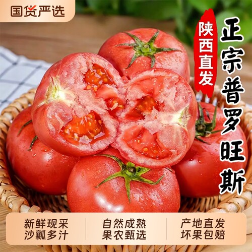 普罗旺斯沙瓤西红柿自然熟多汁甜