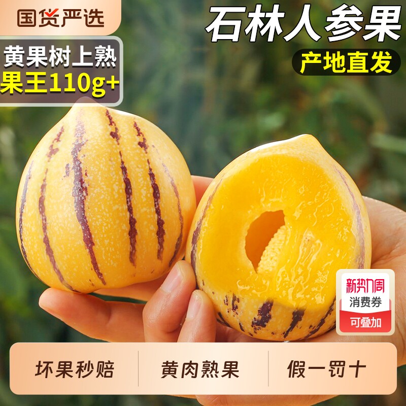 云南石林人参果优选当季水果新鲜现摘人生果圆果整箱包邮大果时令