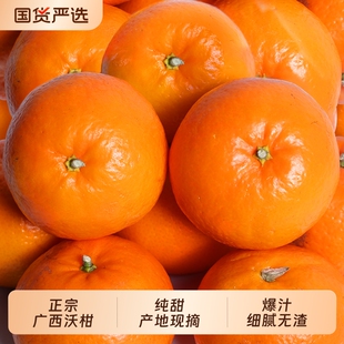 【爆甜】正宗广西武鸣沃柑新鲜橘子水果沙糖蜜橘柑橘大果整箱批发