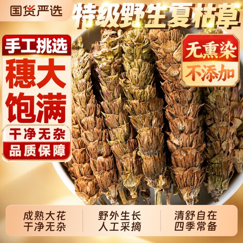 野生夏枯草中药材新鲜干货白毛夏枯草夏菇球大别山正品泡茶蒲公英