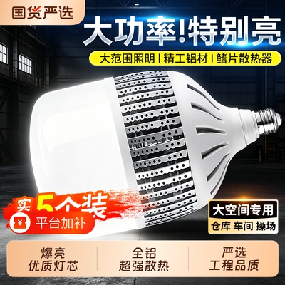 【巨无霸灯泡】精工铝材超强散热
