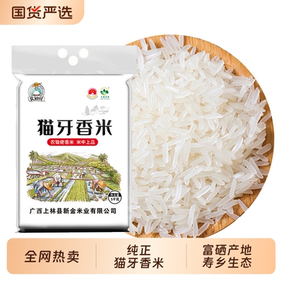 正宗猫牙香米广西寿乡上林特产农家晚稻籼米新米细长大米真空生态