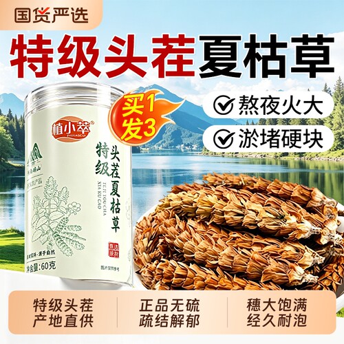 特级夏枯草中药材正品干货蒲公英车前草解郁野泡水喝生官方旗舰店