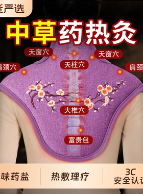 肩颈热敷包盐袋电加热颈椎肩膀护颈海盐粗盐艾灸艾草理疗袋子神器