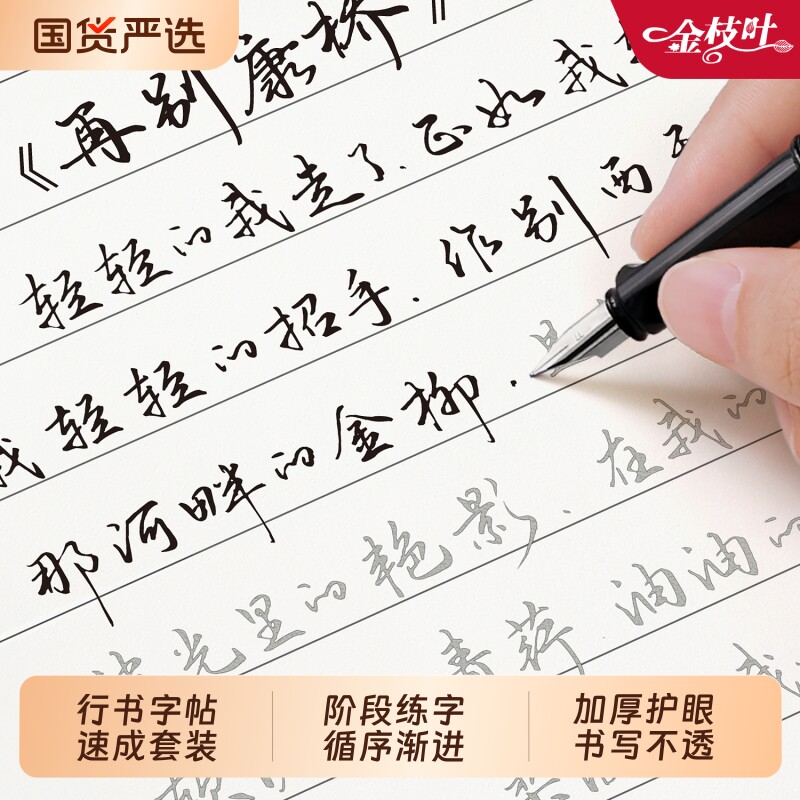 行楷字帖成人练字本|101人收藏图片