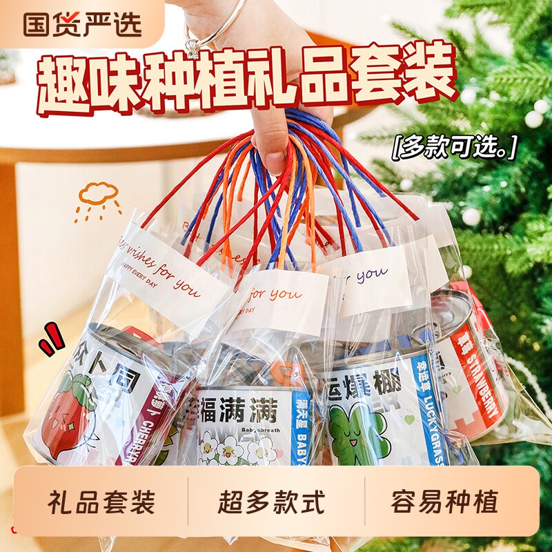 毕业礼物学生奖励小礼品实用DIY植物种植盲盒幼儿园儿童奖品盆栽