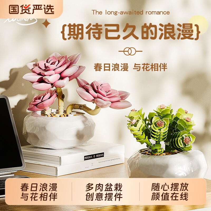 植物系列多肉盆栽|超1000次加购图片