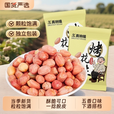五香味花生米独立包装坚果炒货2025新货下酒菜香酥小零食小包装