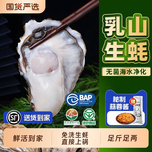 贝司令乳山鲜活生蚝顺丰包邮