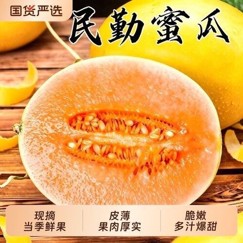 民勤蜜瓜黄河蜜瓜甜瓜水果新鲜
