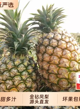 正宗海南金钻凤梨新鲜水果当季台农17号手撕无眼整箱香水菠萝包邮