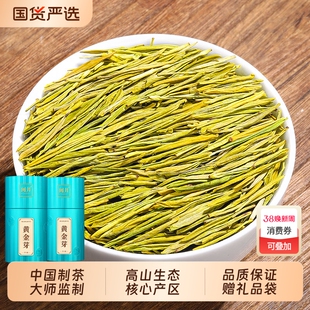 冯黄金芽2025新茶正宗奶白茶特级嫩芽绿茶浓香型茶叶春茶手工兰香