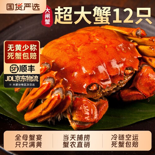 苏州大闸蟹鲜活12只特大礼盒