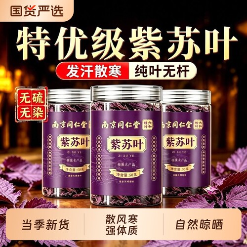 【南京同仁堂】特级紫苏叶散寒
