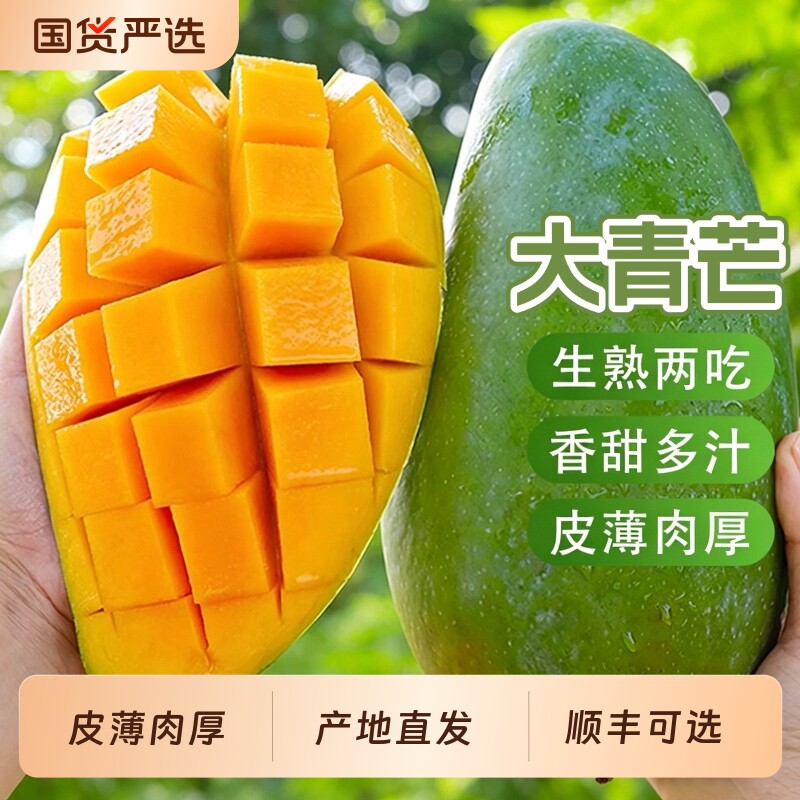 正宗云南大青芒生熟两吃热带水果产地新鲜直达整箱发货顺丰可选