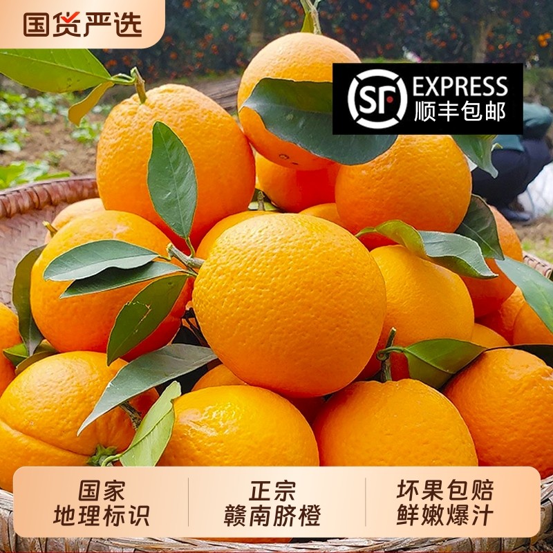 正宗赣南脐橙10斤现摘新鲜甜橙子产地直发20斤装时令水果生鲜果园