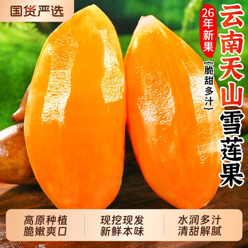 云南天山雪连果时令大果整箱包邮