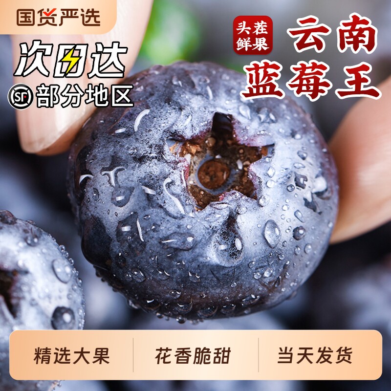 云南蓝莓鲜果新鲜水果当季蓝梅现摘L25花香高山孕妇整箱顺丰包邮