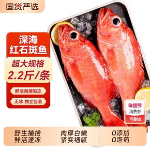 红石斑鱼礼盒鲜活冷冻超大红鱼龙胆深海富贵鱼非东星斑新海鲜水产