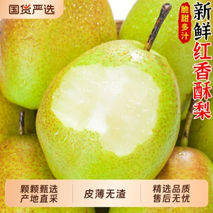 红香酥梨当季新鲜水香梨雪时令孕妇水果整箱现摘包邮年货节精选