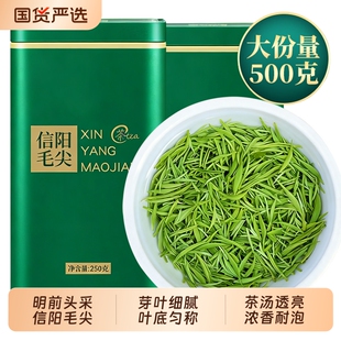 信阳毛尖特级2026新茶雨前特级高山绿茶嫩芽浓香型绿茶罐装 500g