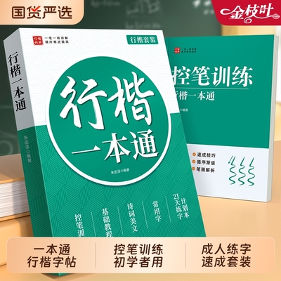 行楷练字帖速成套装行书一本通